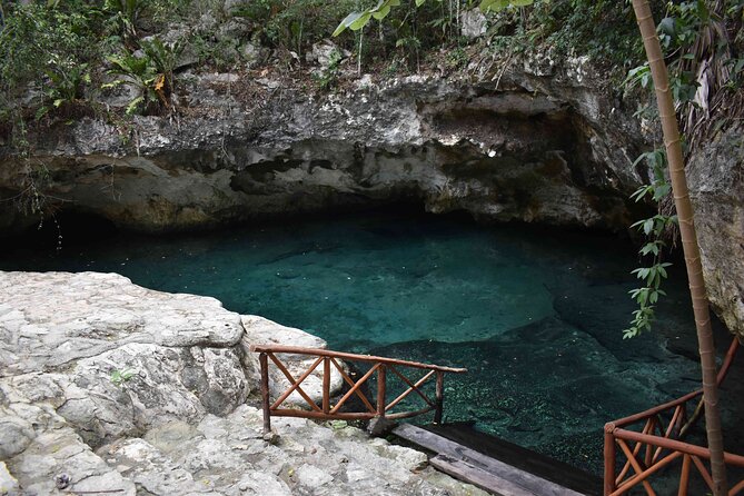 Half Day Cenotes Tour - Half-Day Cenotes in the Tulum Area, Without the Full-Day Commitment
