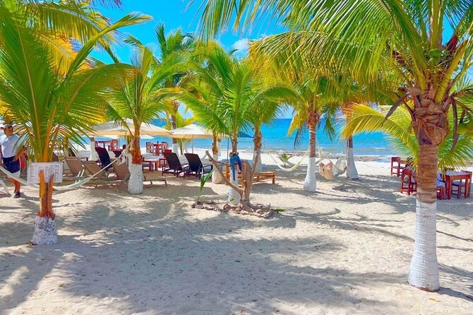 Half-Day Island Tour with Mayan Experience & Beach Break - Price and Value: Is $59 Really a Good Deal?