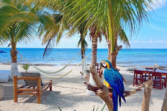 Half-Day Island Tour with Mayan Experience & Beach Break - Guides, English, and the Tip Question (from Reyes to Gizmo)