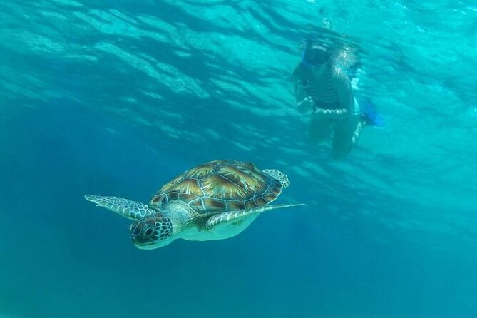 Half Day Luxury Sailing Experience in Riviera Maya with Open Bar - Sailing Offshore: Swimming, Paddle Boards, and Chill Time