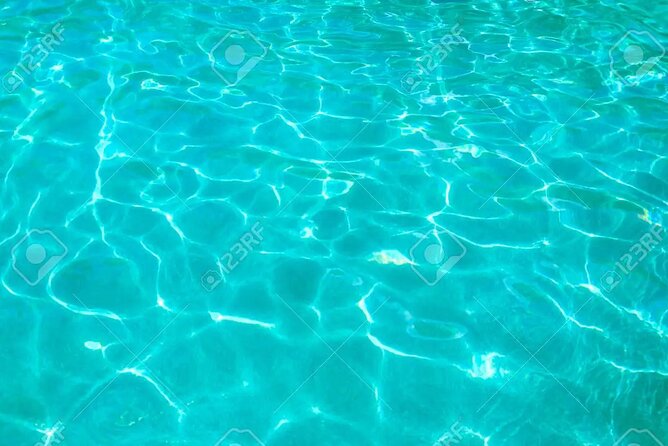 Half Day Luxury Sailing Experience in Riviera Maya with Open Bar - Snorkeling the Reef: Gear Included, Wildlife Is the Bonus