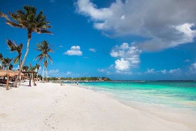 Half Day Private Snorkeling with Turtles and Majestic Cenotes - What’s included, what costs extra, and how the $220 makes sense