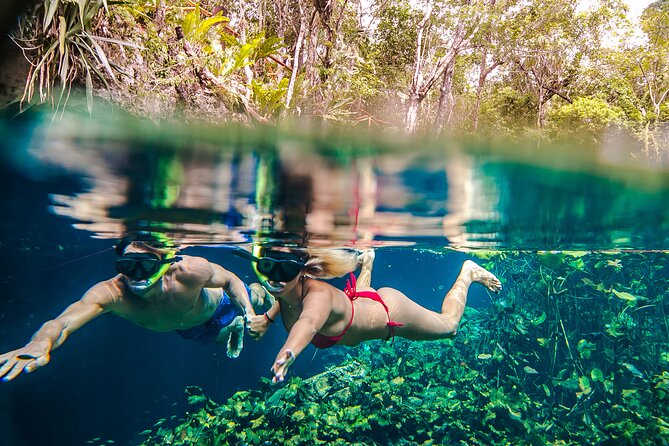 Half Day Private Snorkeling with Turtles and Majestic Cenotes - What to bring: the small stuff that saves your day