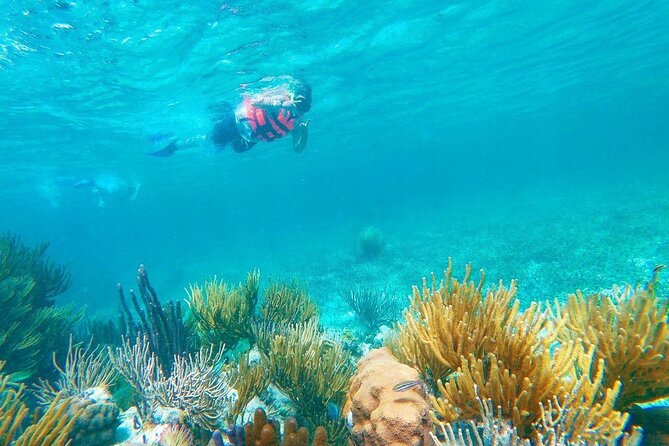 Half-Day Puerto Morelos Snorkeling Experience with Lunch - Timing Reality Check: Scheduling Quirks to Watch For
