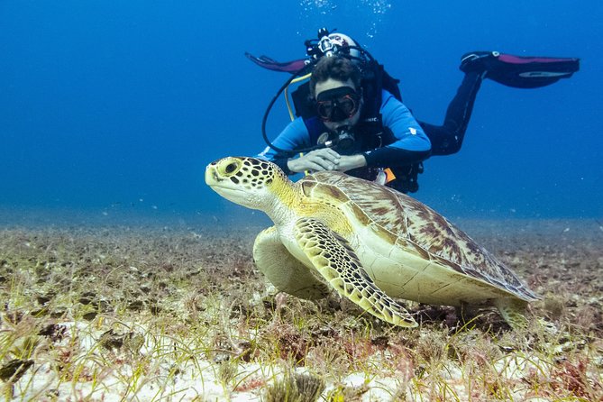 Half-Day Scuba Diving in Playa del Carmen for Small-Group - How long the underwater time actually is, and why it varies