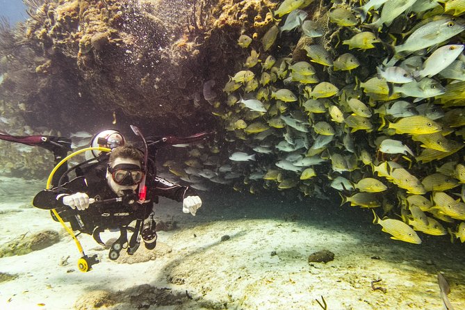 Half-Day Scuba Diving in Playa del Carmen for Small-Group - Morning track is often deeper, afternoon is for Open Water and being current