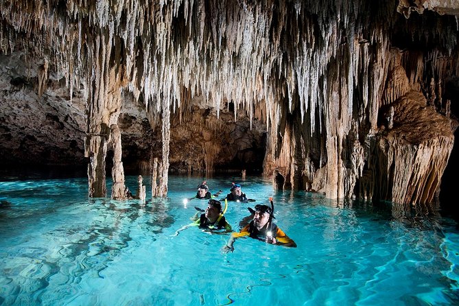 Half-Day Sea Turtle and Cenote Snorkeling Tour from Cancun & Riviera Maya - Guides, safety, and the photo situation you should plan for