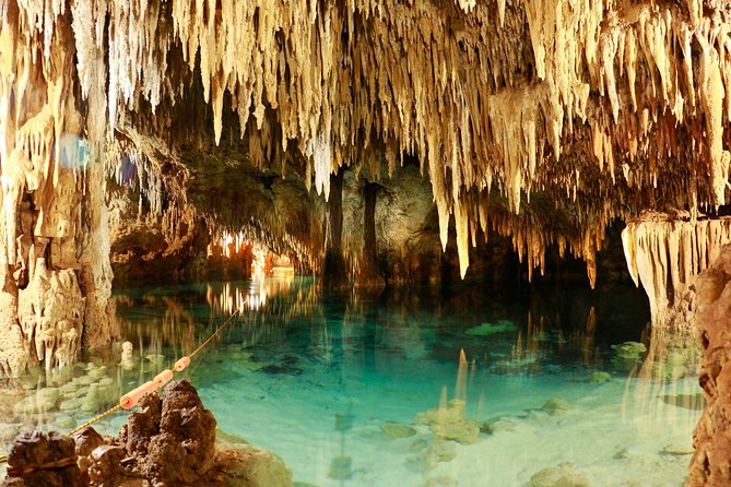 Half-Day Sea Turtle and Cenote Snorkeling Tour from Cancun & Riviera Maya - Who should book this, and who might want a different style