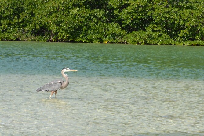 Half-Day Tour Discovering Sian Ka´an with Lunch - Price and value: why $204 can make sense, and when it might not