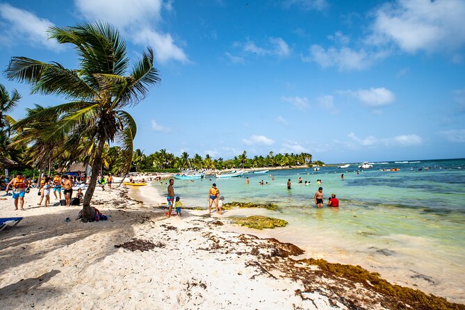Half Day Tour: Turtles Encounter in Akumal Beach - Snorkeling comfort tips for Akumal (so you enjoy more)