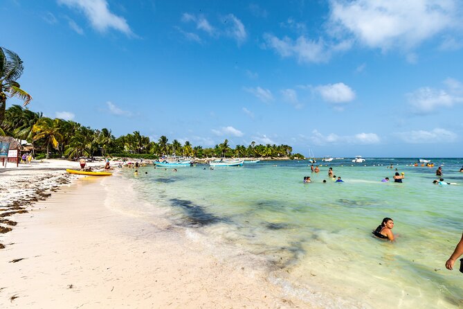 Half Day Tour: Turtles Encounter in Akumal Beach - Should you book this Akumal turtles half-day tour?