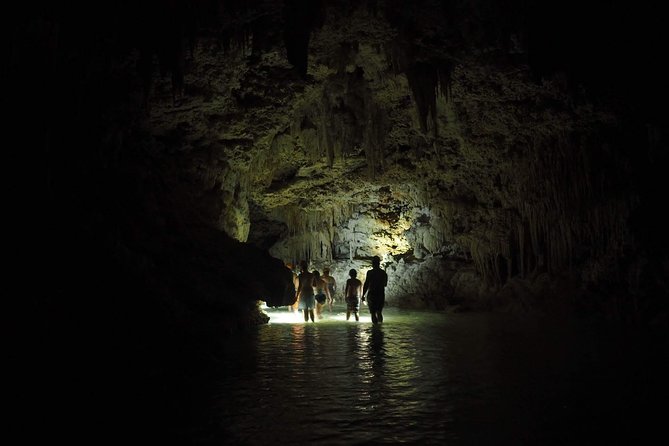 Hidden Cenote exploration in Playa del Carmen - Snorkeling gear plus the natural pool swim