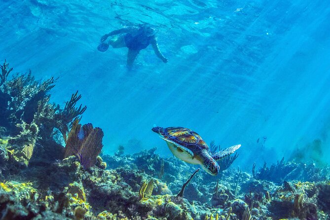 Hidden Cenote Swim: Snorkeling, Sea Turtles and Beachside Lunch - Punta Venado Beach Club: Lunch, Shade, and a Real Finish