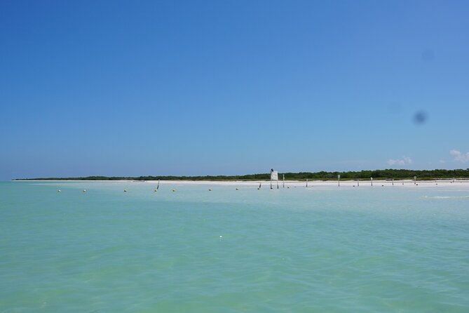 Holbox 3 Island Group Tour - Isla de la Pasión: flamingo odds in shallow waters