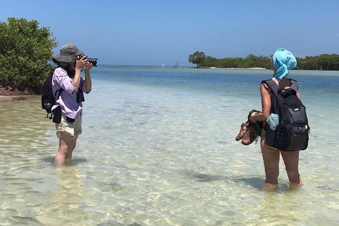 Holbox 3 Island Group Tour - The guide and boat side: what makes the difference