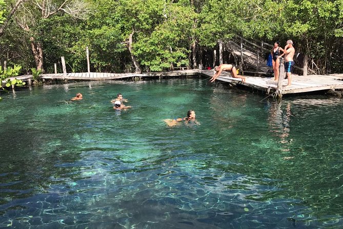 Holbox 3 Island Group Tour - Price and value: $41.82 with real cost control
