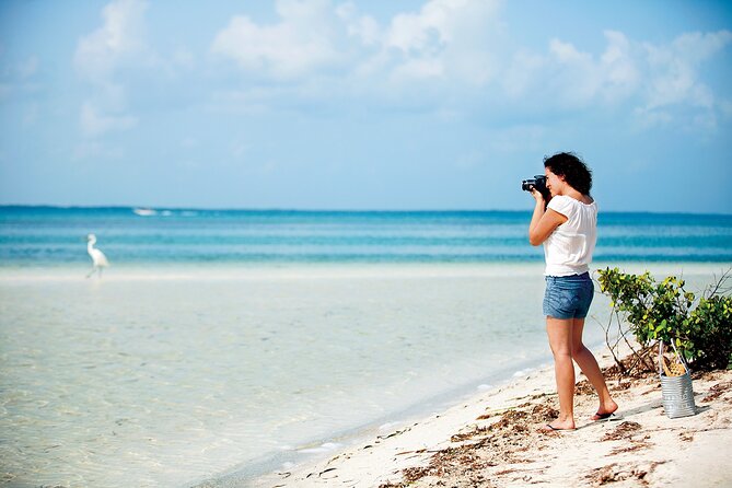 Holbox 3 Island Group Tour - What to bring for a 2.5 to 3 hour island bird outing