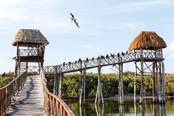 Holbox 3 Island Private Boat Tour - Punta Mosquito or Isla Pájaros: birds, sandbanks, and easy beach scenery