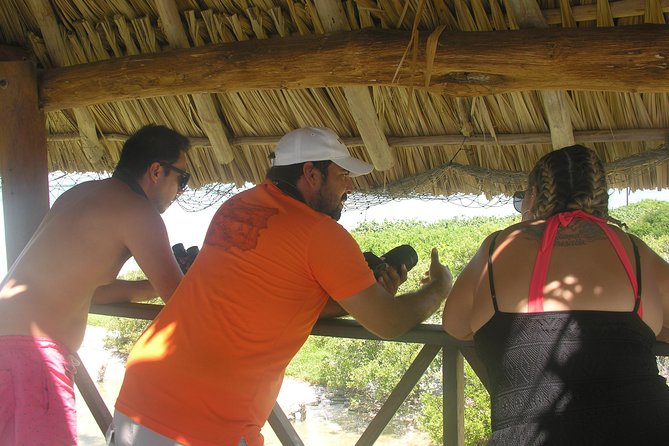 Holbox 3 Island Private Boat Tour - Isla de la Pasión: flamingos and bird life in shallow, colorful waters