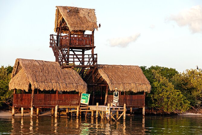 Holbox 3 Island Private Boat Tour - The guide and captain factor: why this tour earns its high marks