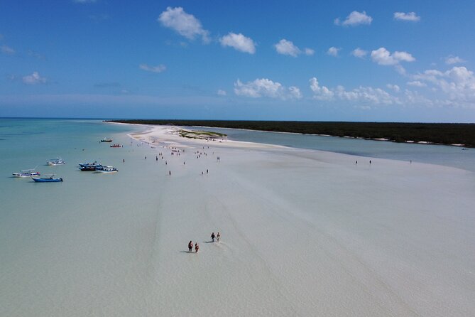 Holbox island: Boat tour & golf cart ride, Lunch and open bar - Key points worth knowing before you go