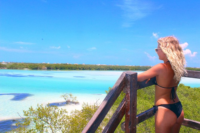 Holbox Island from Playa del Carmen - Isla Holbox: 5 Hours of Beach Time (and the Seaweed Reality Check)