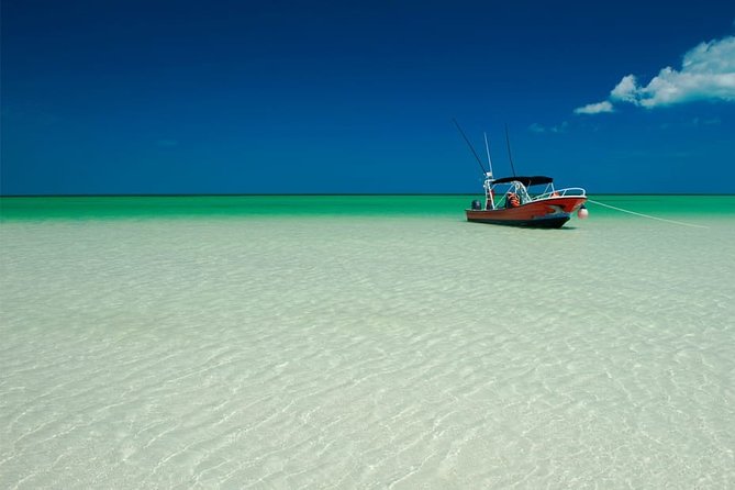 Holbox Island Full Day Trip with Lunch From Playa del Carmen - Price and value: when this tour feels like a bargain