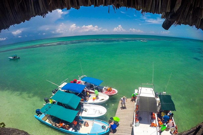 Holbox Island Tour departure from Cancun - Isla Holbox: The 3-Hour Guided Portion That Matters