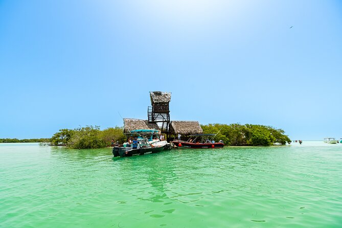 Holbox Island Tour in Mexico with Lunch - Price and logistics: what the $110 covers (and what costs extra)