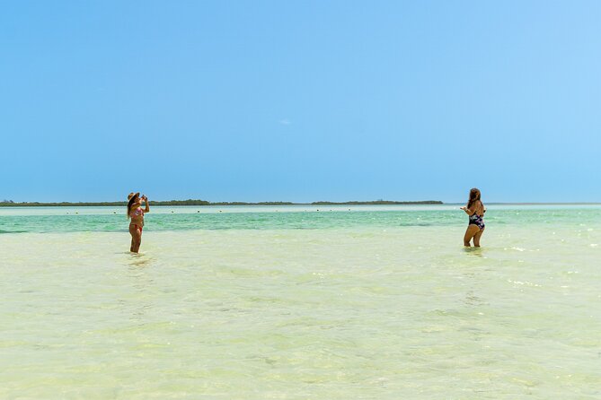 Holbox Island Tour in Mexico with Lunch - Isla de la Pasion: the view stop with seasonal bird sightings
