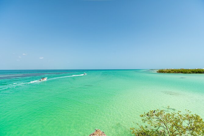 Holbox Island Tour in Mexico with Lunch - Guides and group size on the Holbox boat day: what to expect