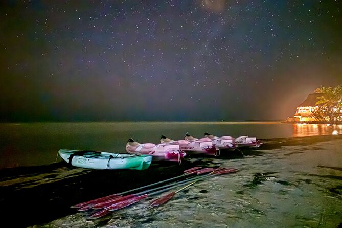 Holbox Kayak Bioluminescence Experience - Key highlights you will actually notice