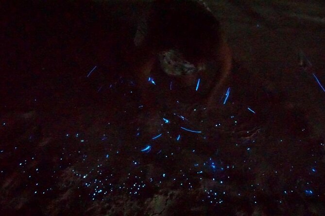 Holbox Kayak Bioluminescence Experience - Why Holbox kayaks can feel like a living light show