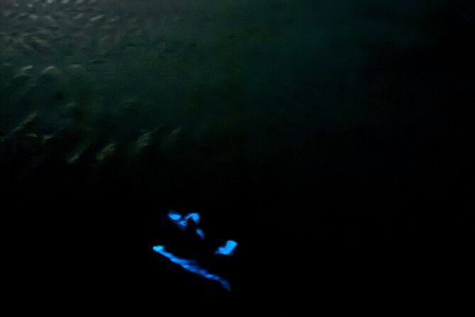 Holbox Kayak Bioluminescence Experience - The deeper-water swim: when your motion turns into light
