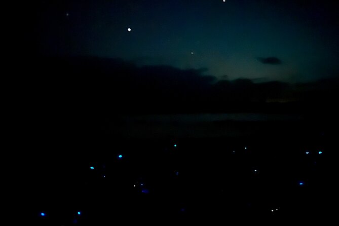 Holbox Kayak Bioluminescence Experience - When the sky cooperates: Milky Way, planets, and shooting stars