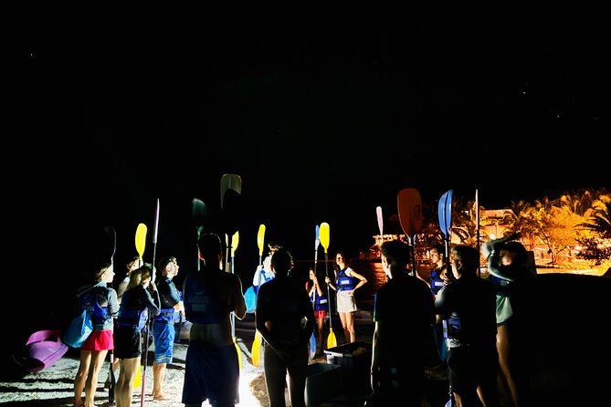 Holbox Kayak Bioluminescence Experience - Timing, meeting point reality, and pickup tips for Holbox nights