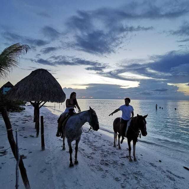 Holbox: Private Horseback Riding - Value check: is $94 worth it?