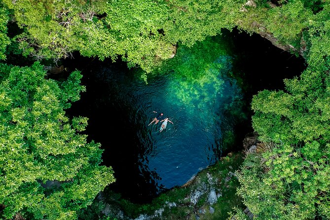 Horseback Riding and Cenote Swim from Cancun or Playa del Carmen - Forest practices: bubblegum-making and honey tasting
