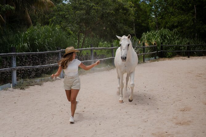 Horseback Riding and Cenote Swim from Cancun or Playa del Carmen - The horseback part: how you get matched and guided