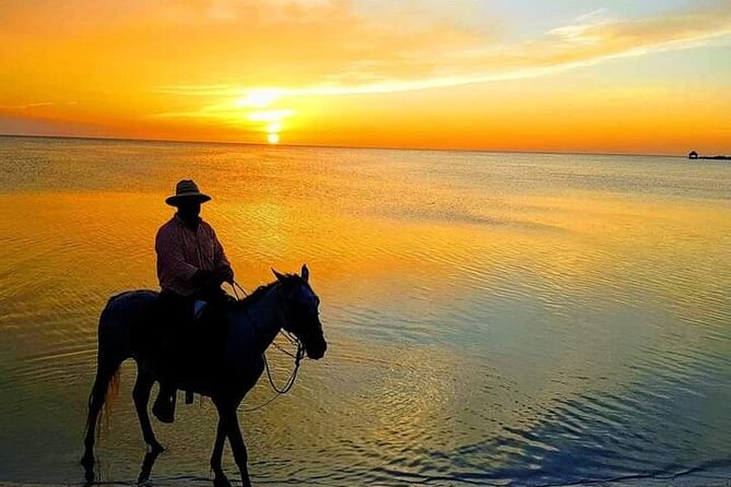Horseback Riding on the Beaches of Holbox - Key Highlights You’ll Actually Care About