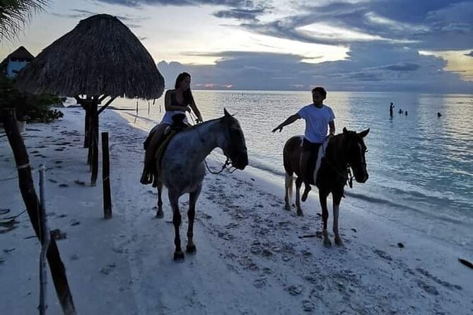 Horseback Riding on the Beaches of Holbox - Holbox Beach Horseback Riding: What Makes It Special