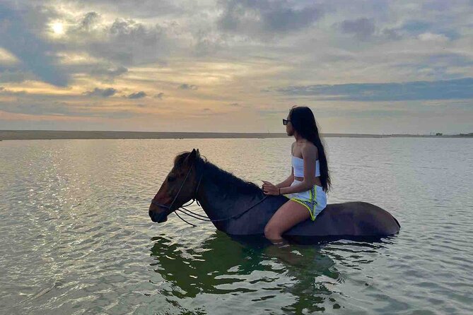 Horseback Riding on the Beaches of Holbox - How Long Is It Really, and How the Pace Works