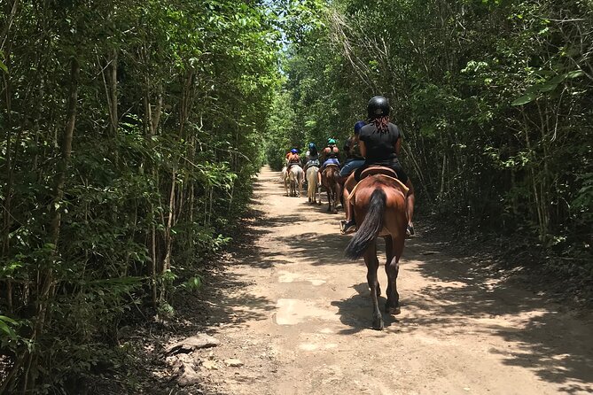 Horseback Riding plus ATV, Cenote, Ziplines, and Lunch - Lunch and purified water: what included really means