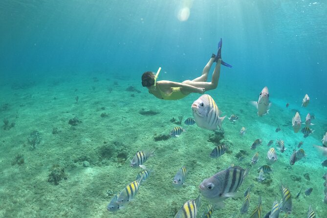 Invisible Boat Snorkeling Tour - Snorkeling Gear, Safety, and Getting In and Out