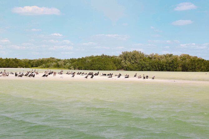 Isla Columpios and Progreso Day Trip - Weather and timing: how to make the day feel smooth