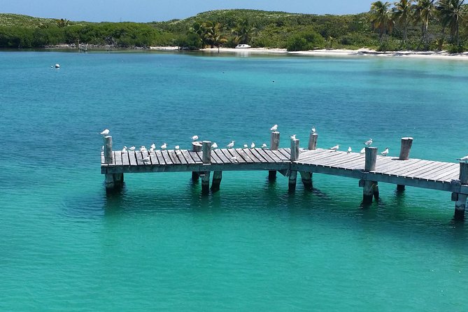 Isla Contoy and Isla Mujeres Tour with Snorkeling from Cancun - The fast boat ride, motion, and getting your “sea day” ready