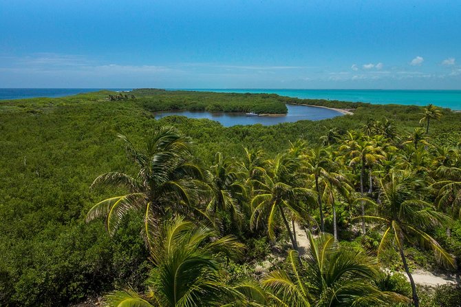 Isla Contoy and Isla Mujeres Tour with Snorkeling from Cancun - Isla Contoy National Park, trails, wildlife, and that protected-island feeling
