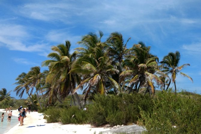 Isla Contoy and Isla Mujeres Tour with Snorkeling from Cancun - Isla Mujeres after Contoy: shopping time and the party-boat return