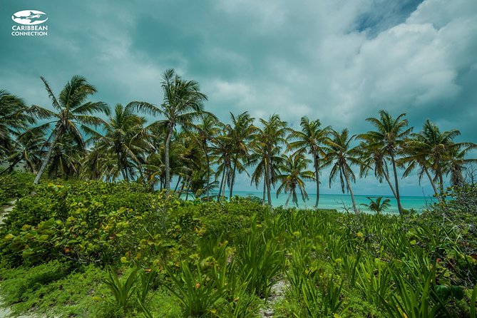 Isla Contoy Eco Adventure - Isla Contoy on a guided path, not a free roam