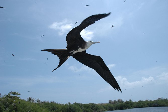 Isla Contoy Eco Adventure - Lunch and the open bar: what’s actually included